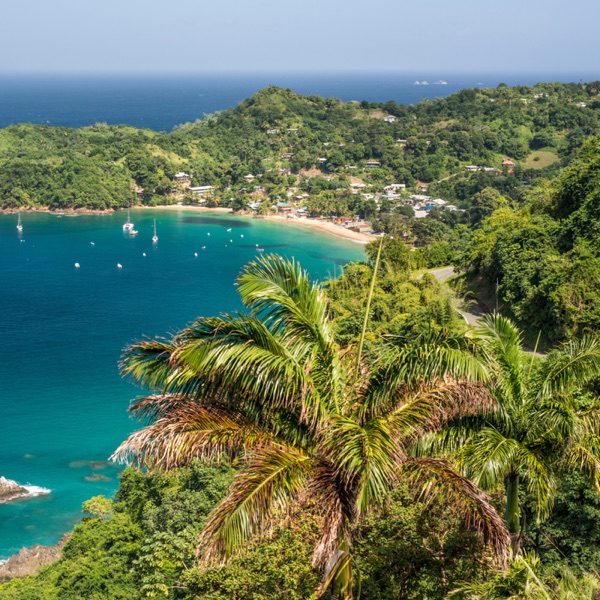 Miniature trinidad